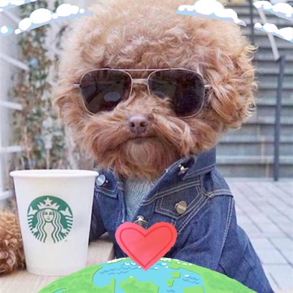 Meet your Posher, Ivan - Picture 1 of 1